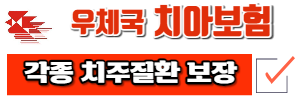 우체국 치아보험